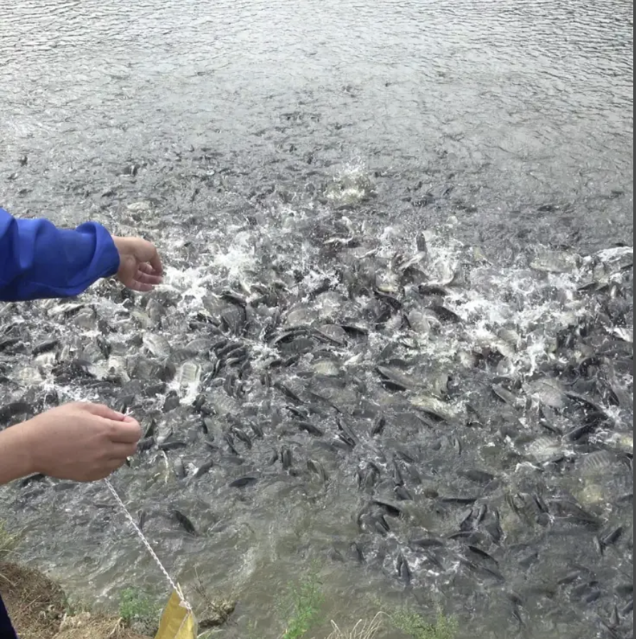 截屏2026-02-10 10.47.36.png