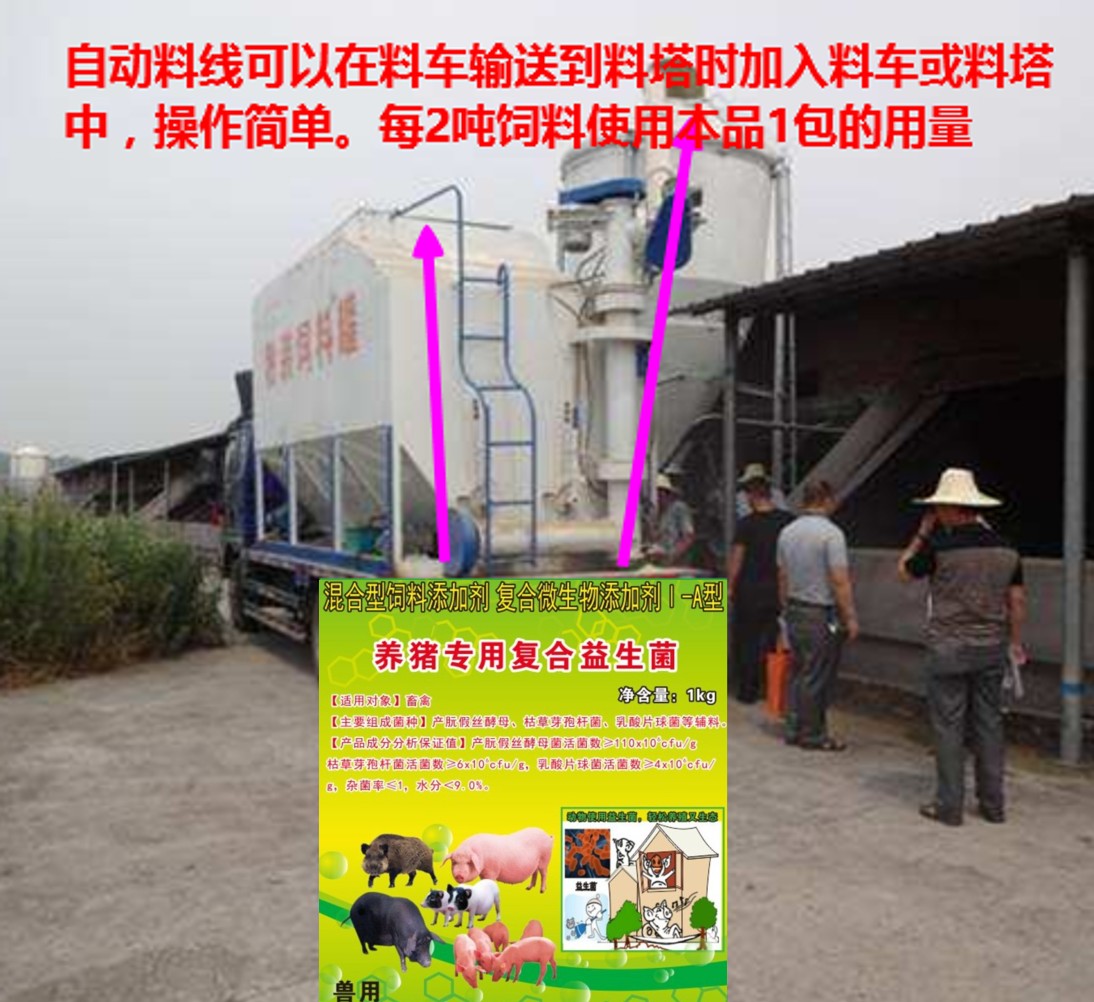 養(yǎng)豬專用復(fù)合益生菌加入自動料線.jpg