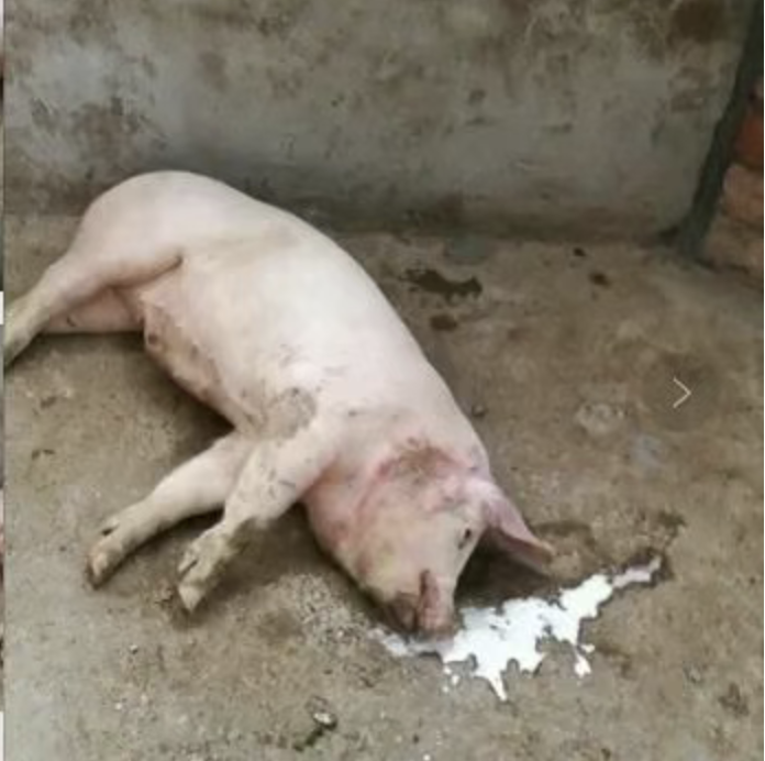 截屏2026-03-20 12.47.10.png