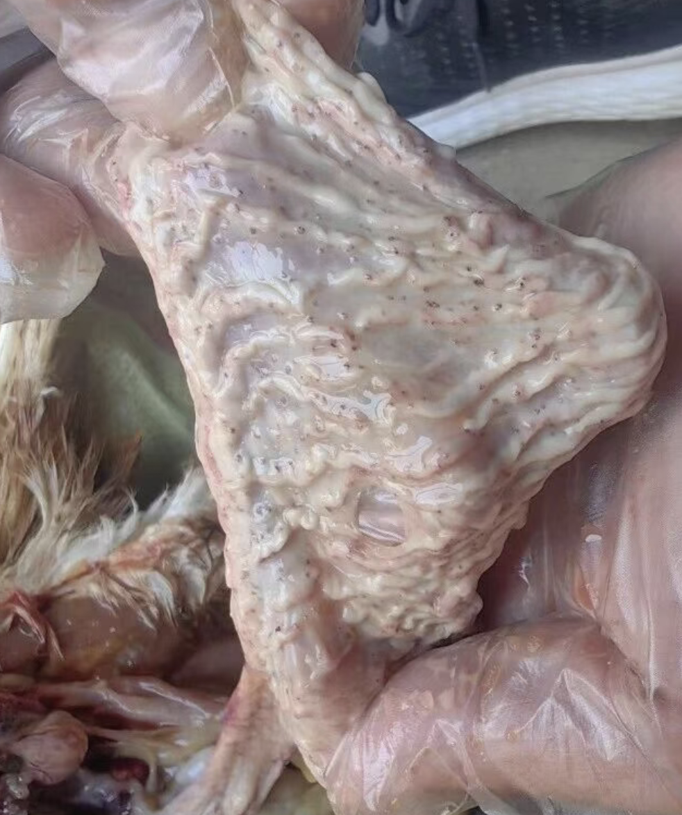 截屏2026-03-24 15.24.04.png