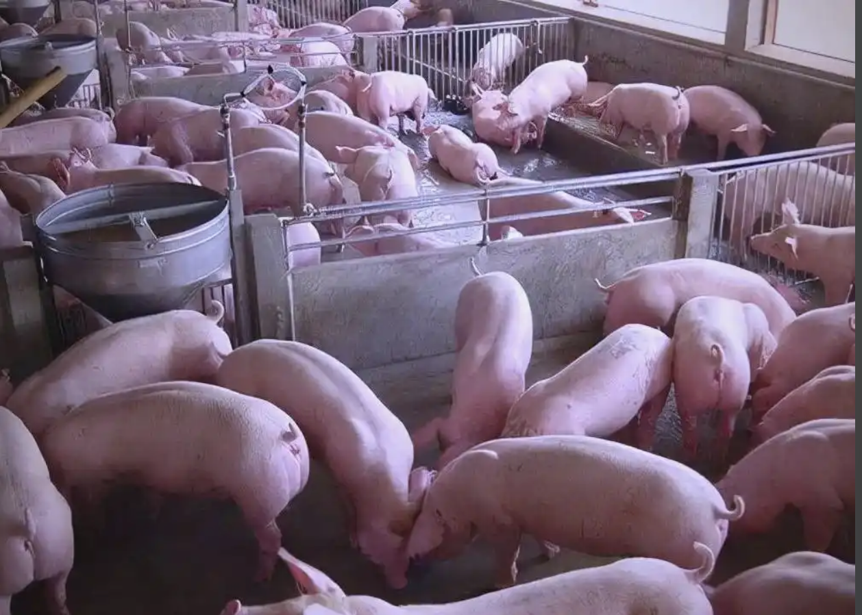 截屏2026-03-30 10.55.15.png