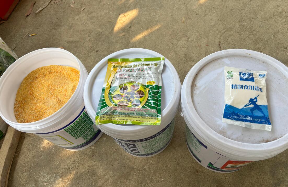 17545550575126432 (1).jpg