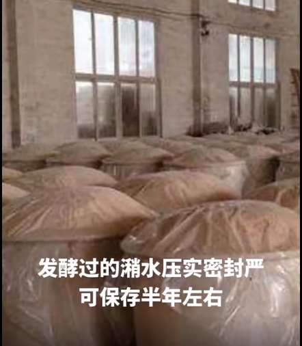截圖20260417101542.png