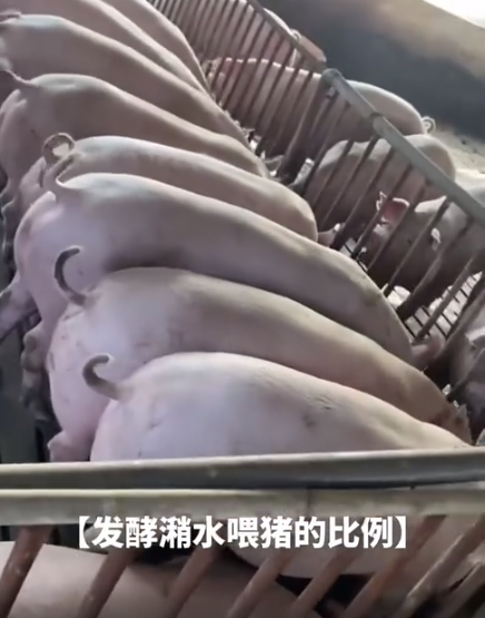 截圖20260417101813.png