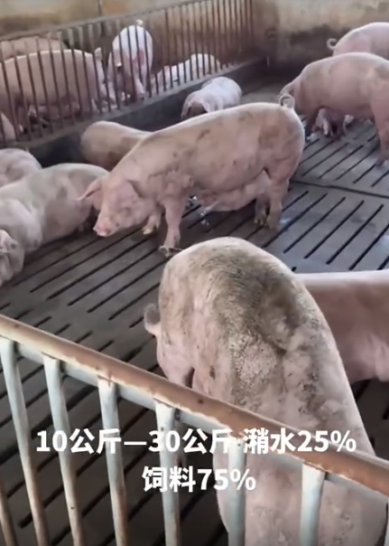 截圖20260417101827.png