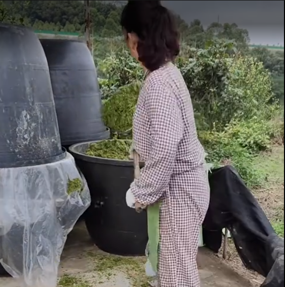 截圖20260429102150.png