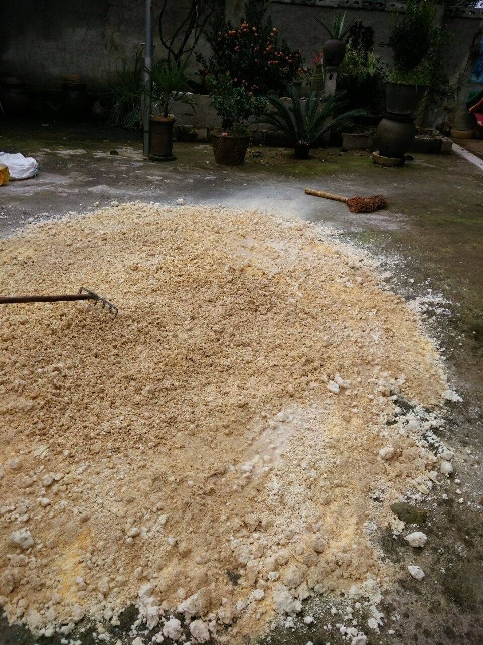 微信圖片_20260429110602.jpg