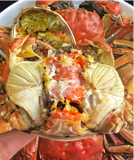 截圖20260509093155.png