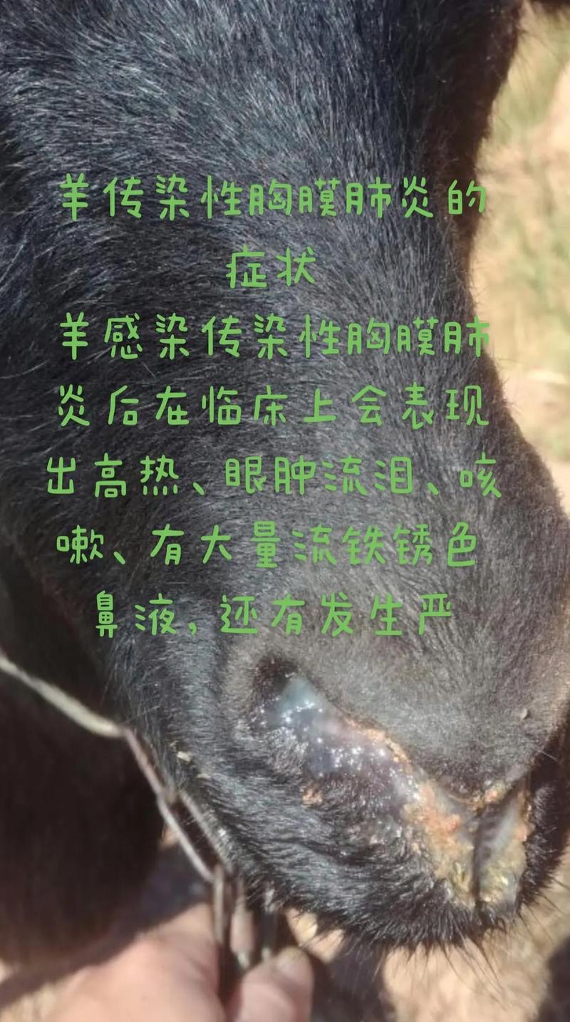 微信圖片_20260513092135.jpg