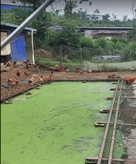 截圖20260513100146.png