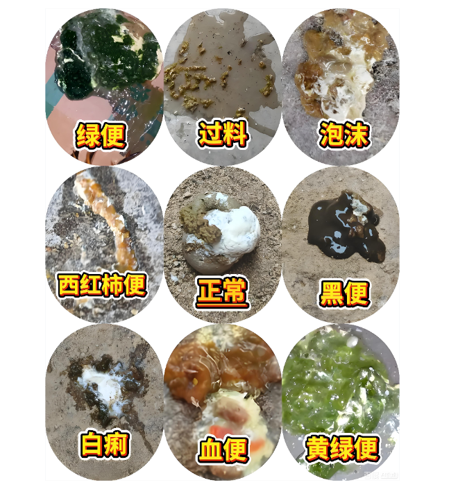 QQ圖片20260514101059.png