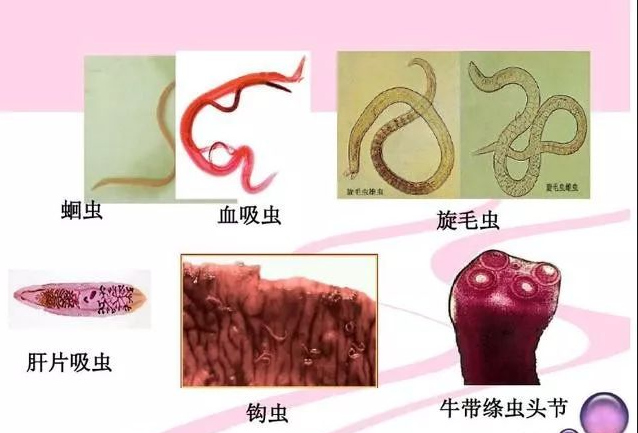 截圖20260514104247.png