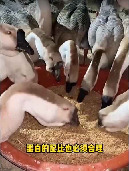 截圖20260515102709.png