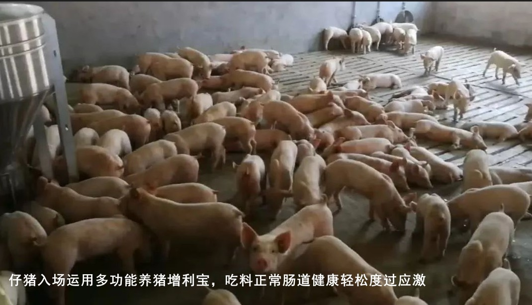 QQ圖片20260515135542.png