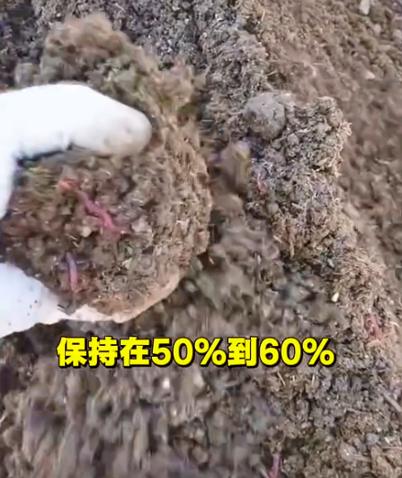 截圖20260519093447.png