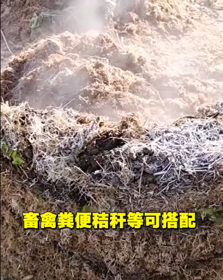 截圖20260519094428.png
