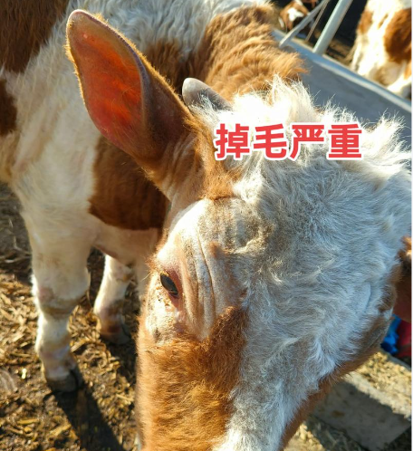 截圖20260519105353.png