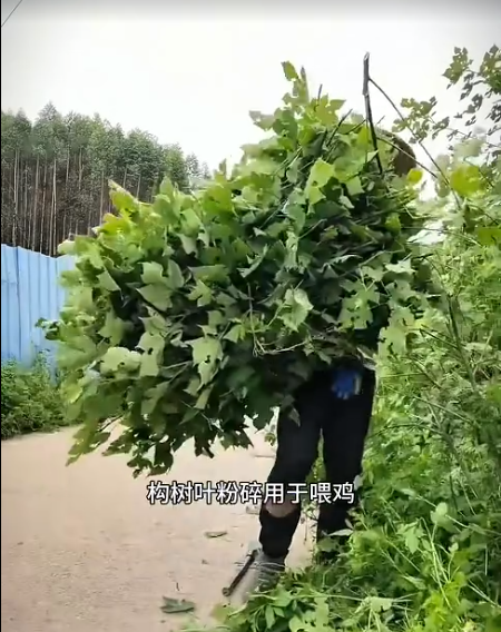 截圖20260520091400.png
