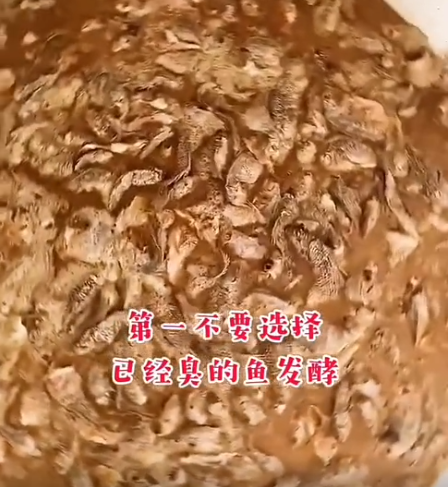 截圖20260521093429.png