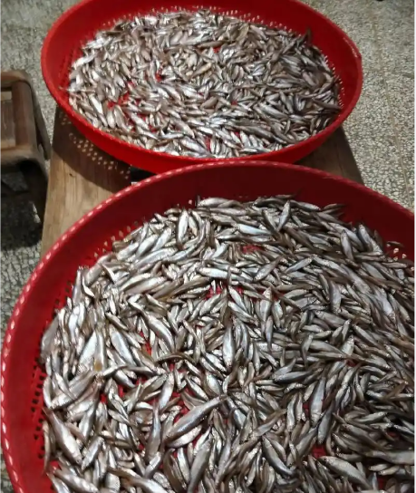 截圖20260521094757.png