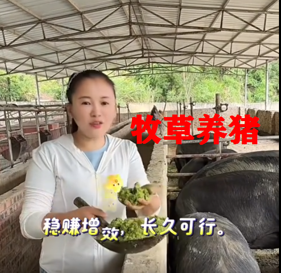 截圖20260522091748.png