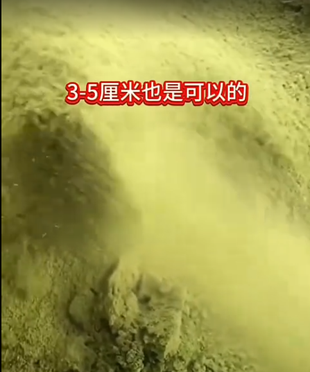 截圖20260523101153.png
