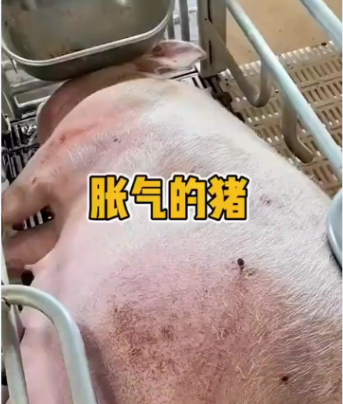 截圖20260525142511.png