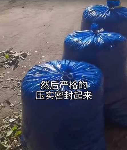 截圖20260526095225.png
