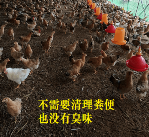 QQ圖片20260526144530.png