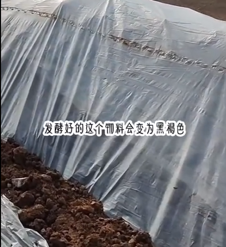 截圖20260602091433.png