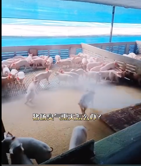 截圖20260603091450.png