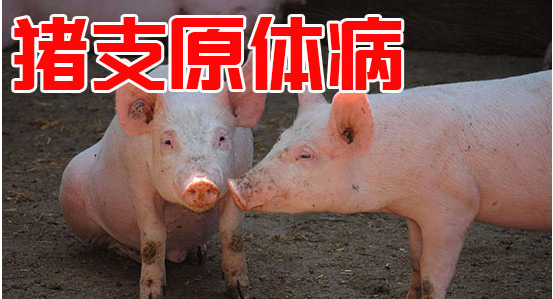 截圖20260603094157.png