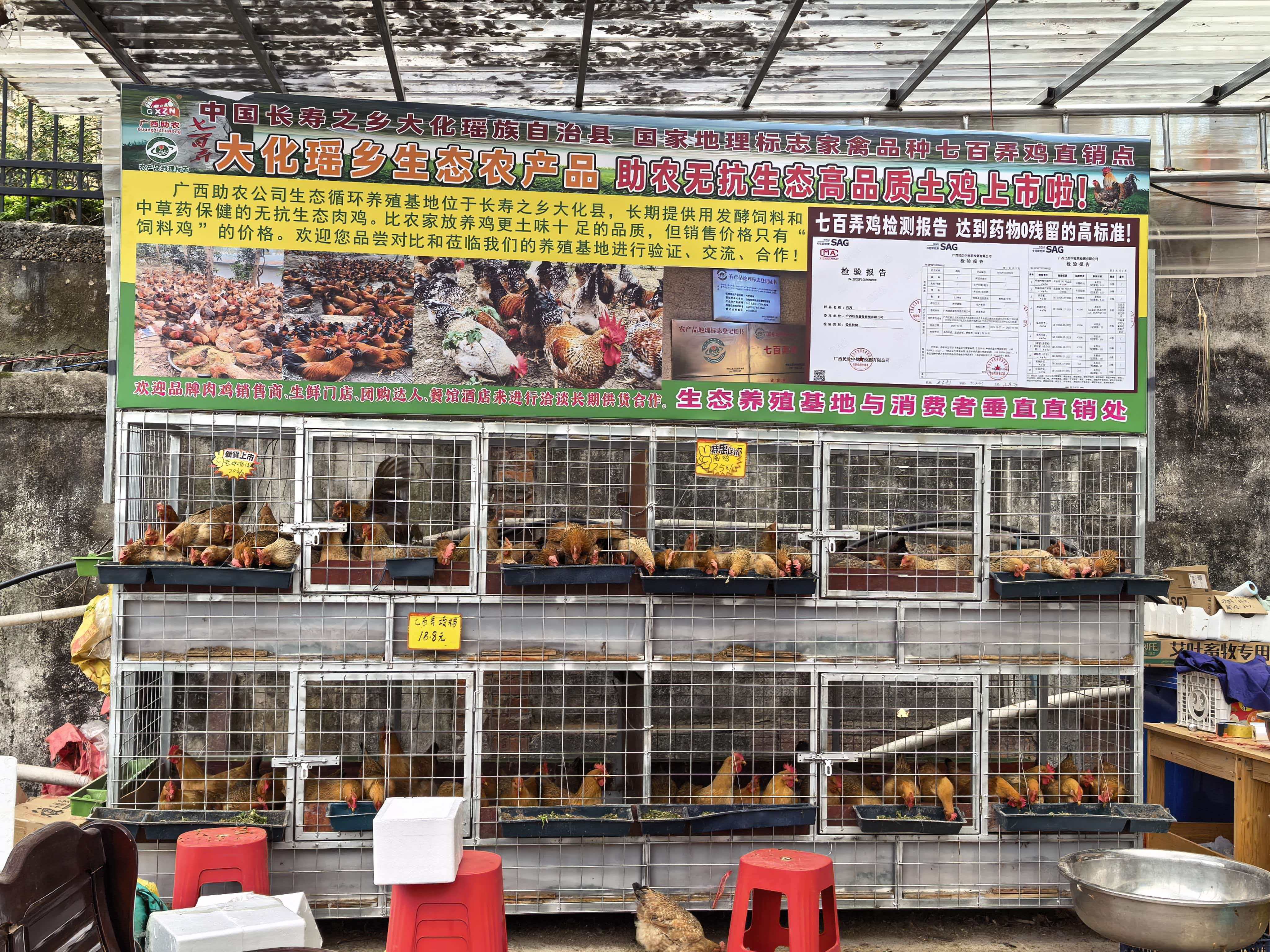 發(fā)酵飼料肉雞銷售點.jpg