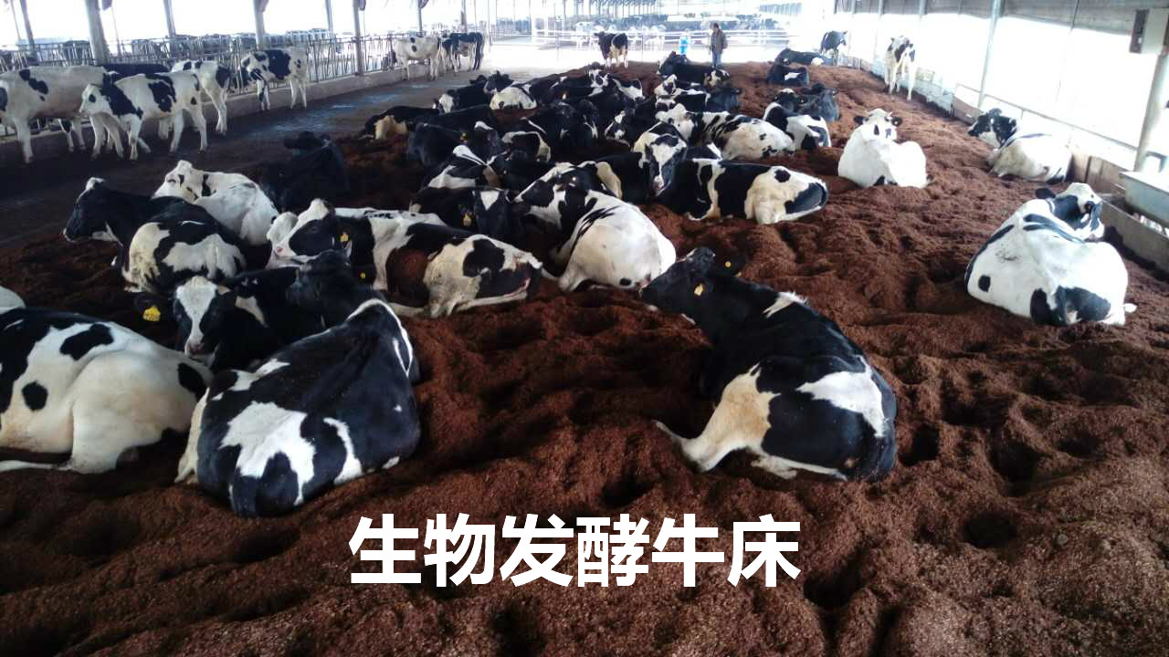 上海江南三淼生物工程設(shè)備有限公司