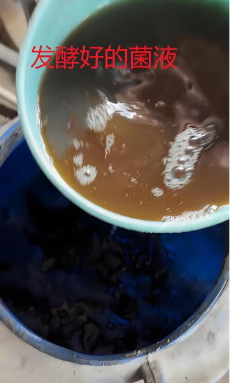 78fa5c54-7ab5-4df1-9de3-1ca17ab8278b.png