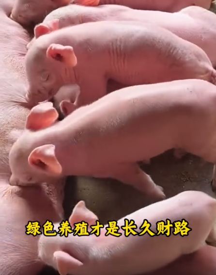 截圖20260609105641.png