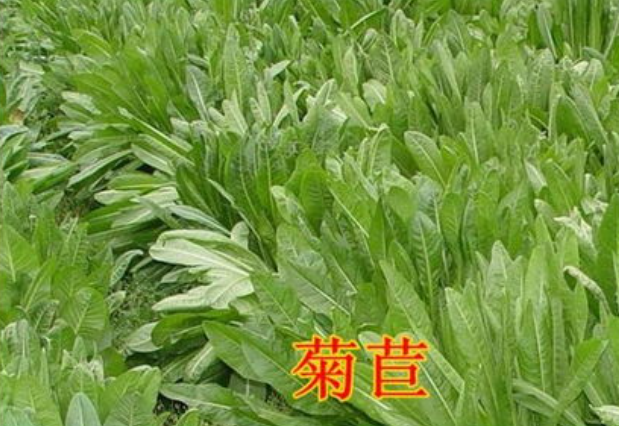 截圖20260610091428.png
