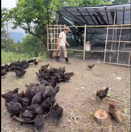 截圖20260610091716.png