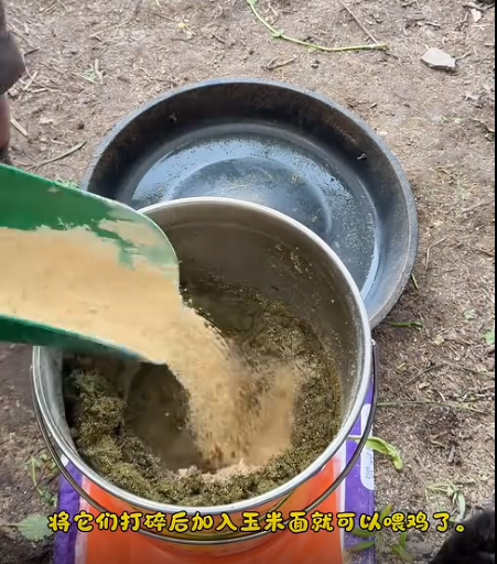 截圖20260610091917.png