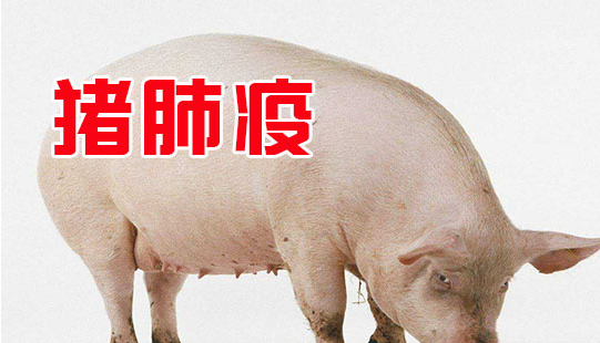 截圖20260610095946.png