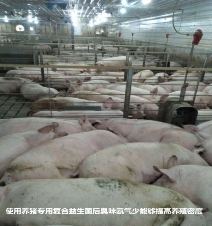 微信截圖_20260611102551.jpg
