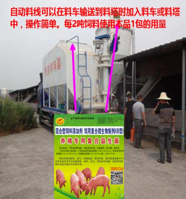 微信截圖_20260611102500.jpg
