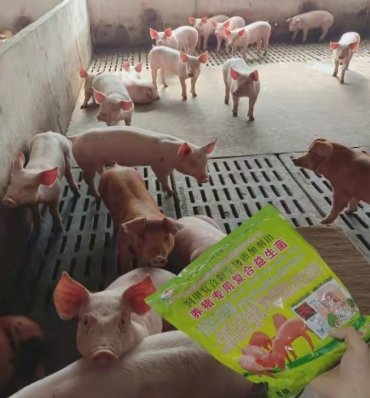 微信截圖_20260611102437.jpg