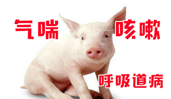 截圖20260612102206.png