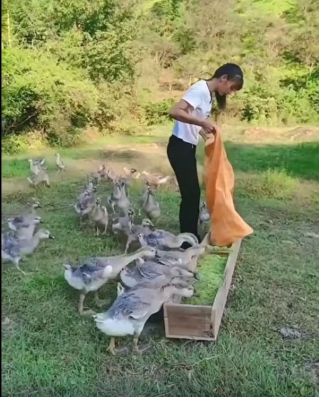 截圖20260613093844.png