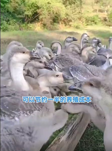 截圖20260613093941.png