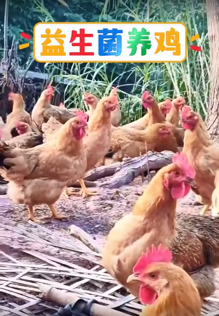 截圖20260616092040.png