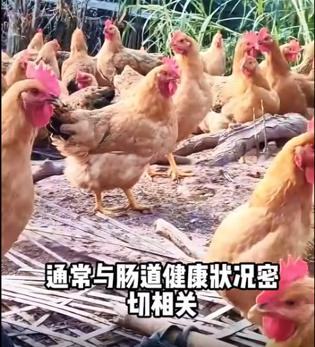 截圖20260616092200.png
