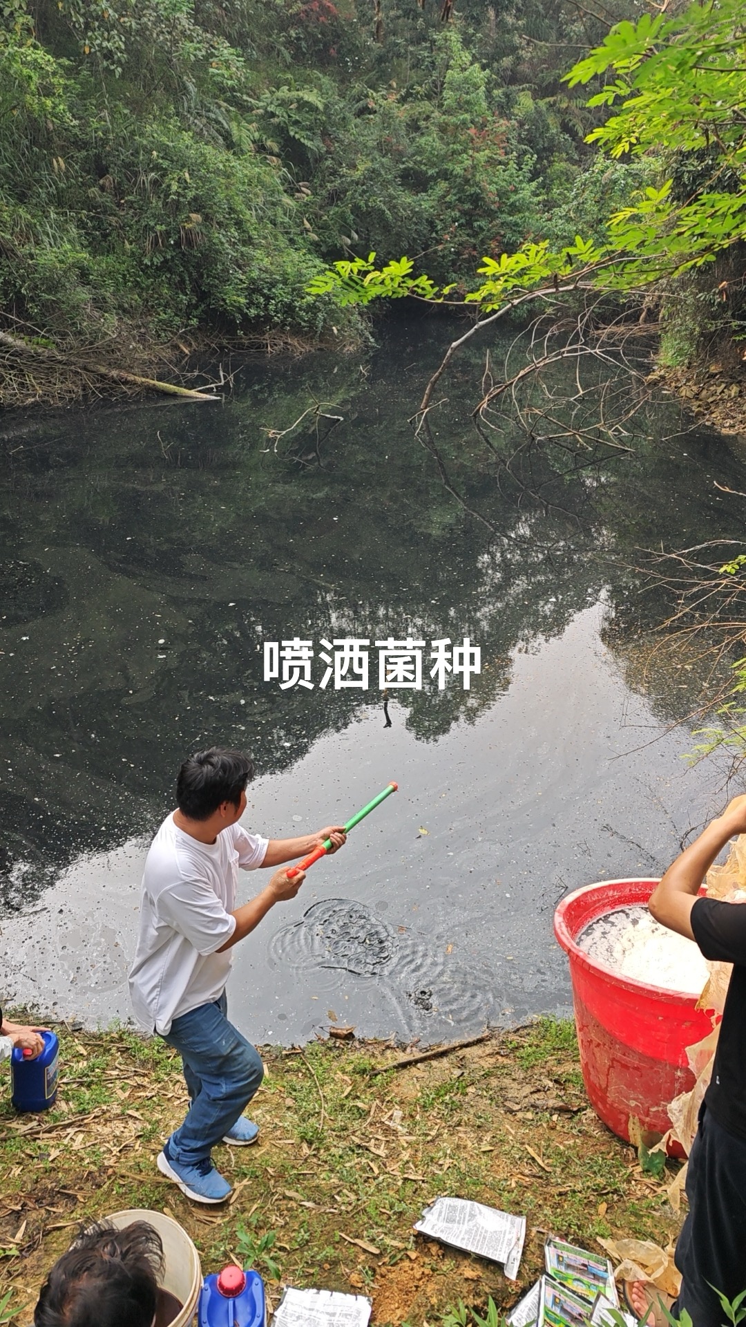 3cbc3dd96ed22e65e7d3b4bce5dc392b_17398473315436384.jpg