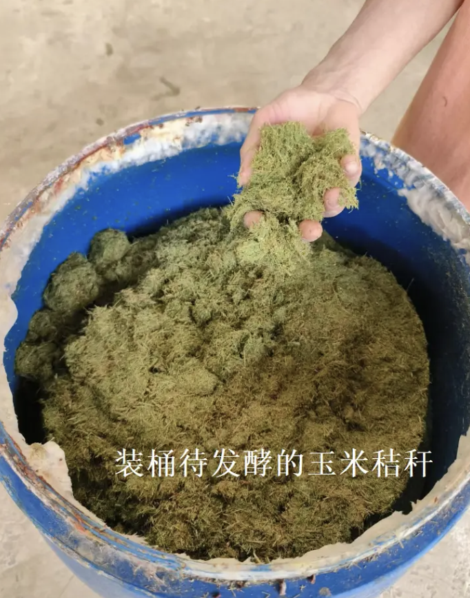截屏2026-06-17 09.54.08.png